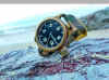 195ChS-bronze-80523-8.jpg (252060 字节)