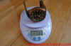 almaz-nh35-320o265-new-bronze-with-background-leather-strap-80530-4.jpg (73548 ֽ)